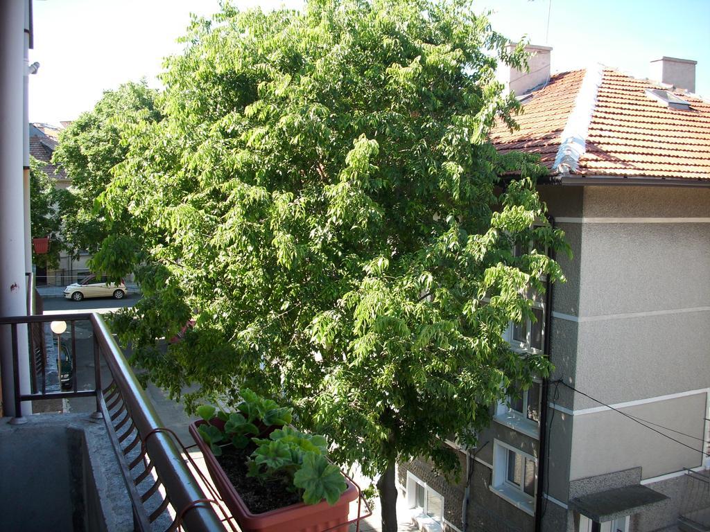 Georgievi Guest House Pomorie Luaran gambar